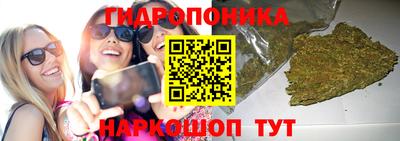 индика Шебекино