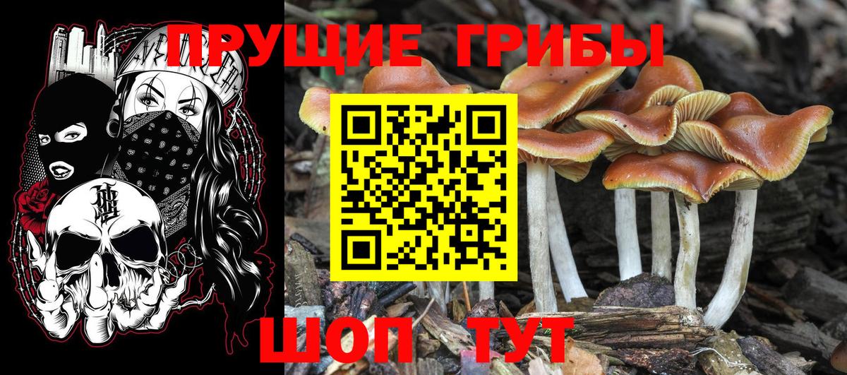 НБОМе  Канабис  Вход с VPN  Кокаин  Лабытнанги  LSD-25  Меф МЯУ МЯУ кристаллы  ГАШ  МЕТ 