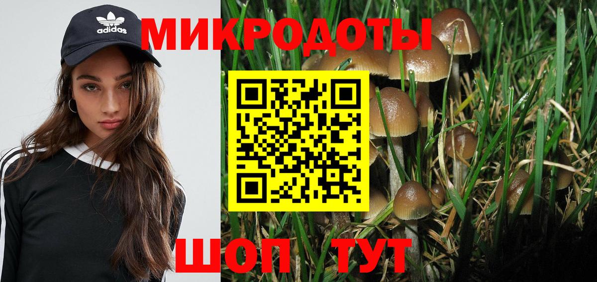 Лабытнанги  Псилоцибиновые грибы Magic Shrooms  Вход с VPN 